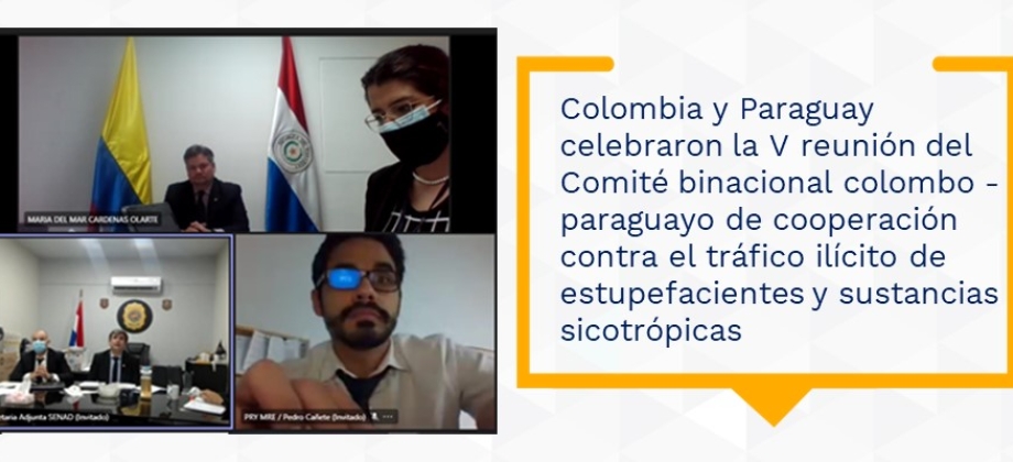 Colombia y Paraguay celebraron la V reunión del Comité binacional colombo - paraguayo de cooperación contra el tráfico ilícito de estupefacientes y sustancias sicotrópicas
