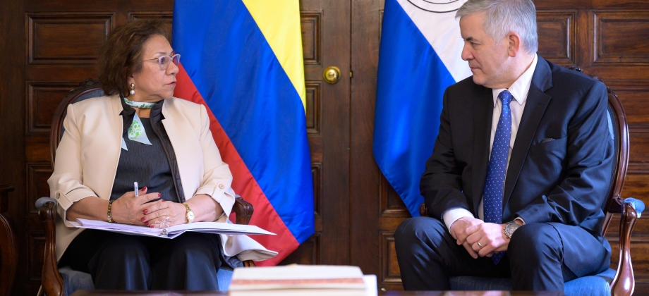 Nuevo Embajador de Paraguay en Colombia, Juan Alberto Baiardi Quesnel, presenta copias de estilo de sus cartas credenciales ante la Canciller (e) Rosa Yolanda Villavicencio Mapy